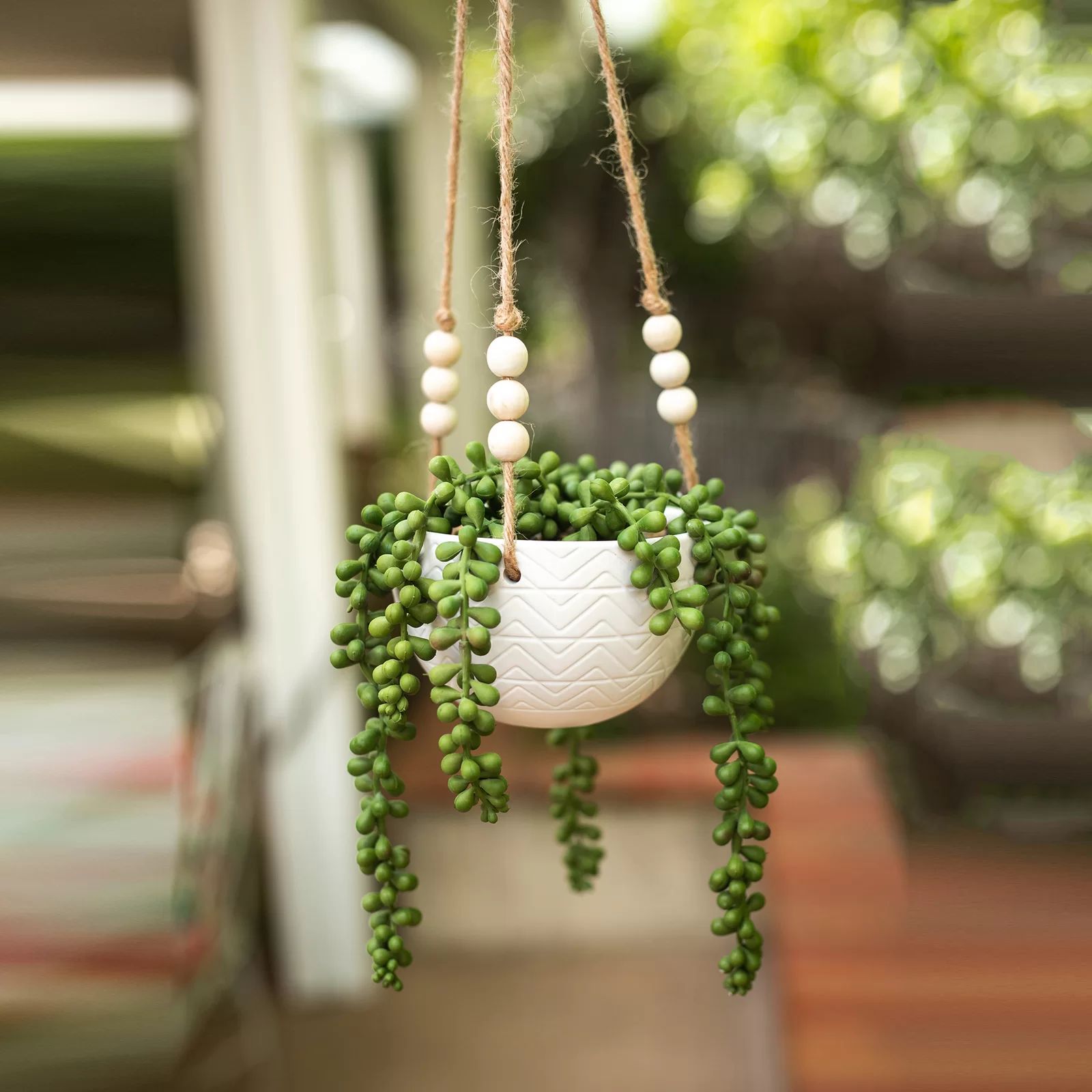 Mix-Hanging-Diamond-Line-Ceramic-Agave-Plant-in-Planter