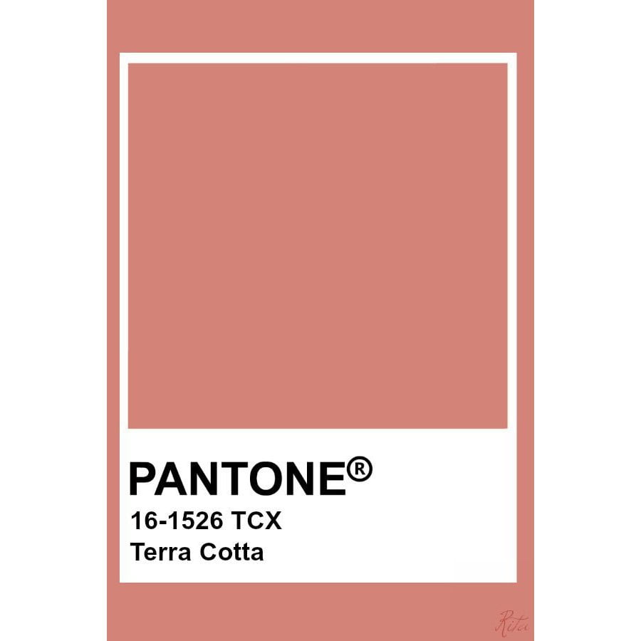 Terracotta Color